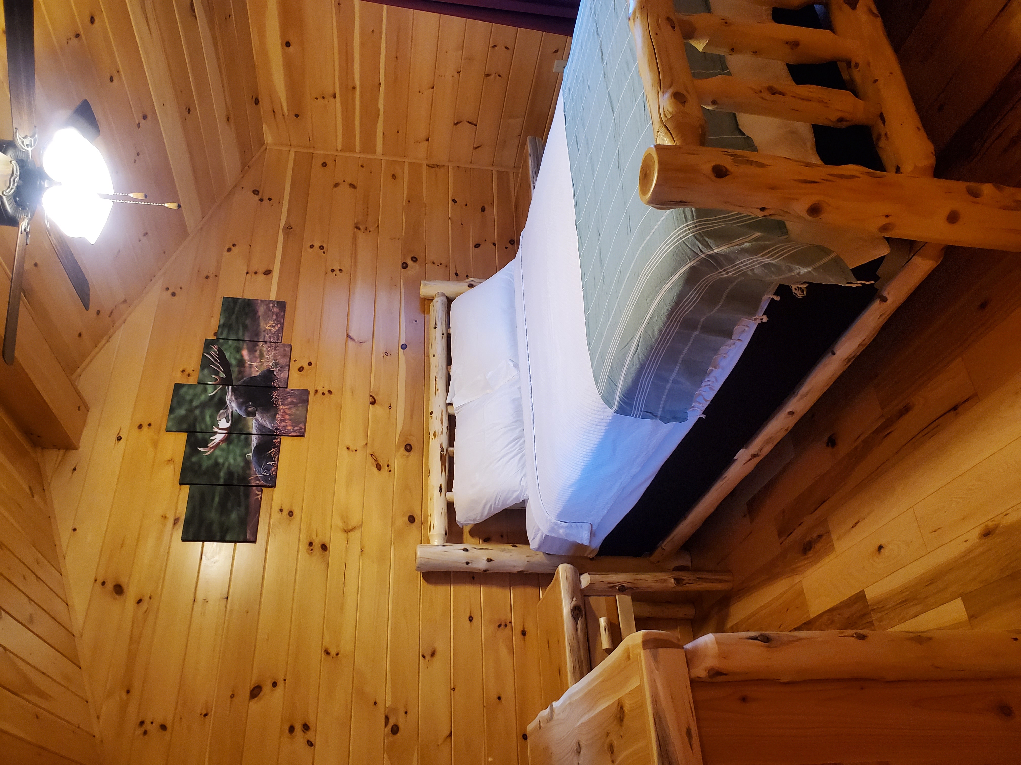Moose Lodge Queen Bedroom