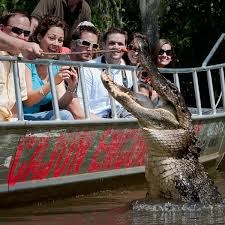 Cajun Encounters Tour Company