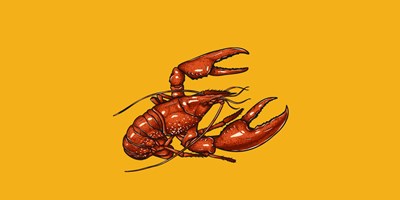 50th Louisiana Crawfish Festival