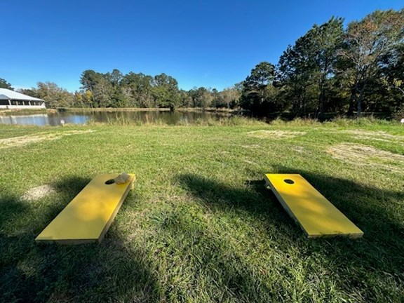 Catch a Game of Corn Hole