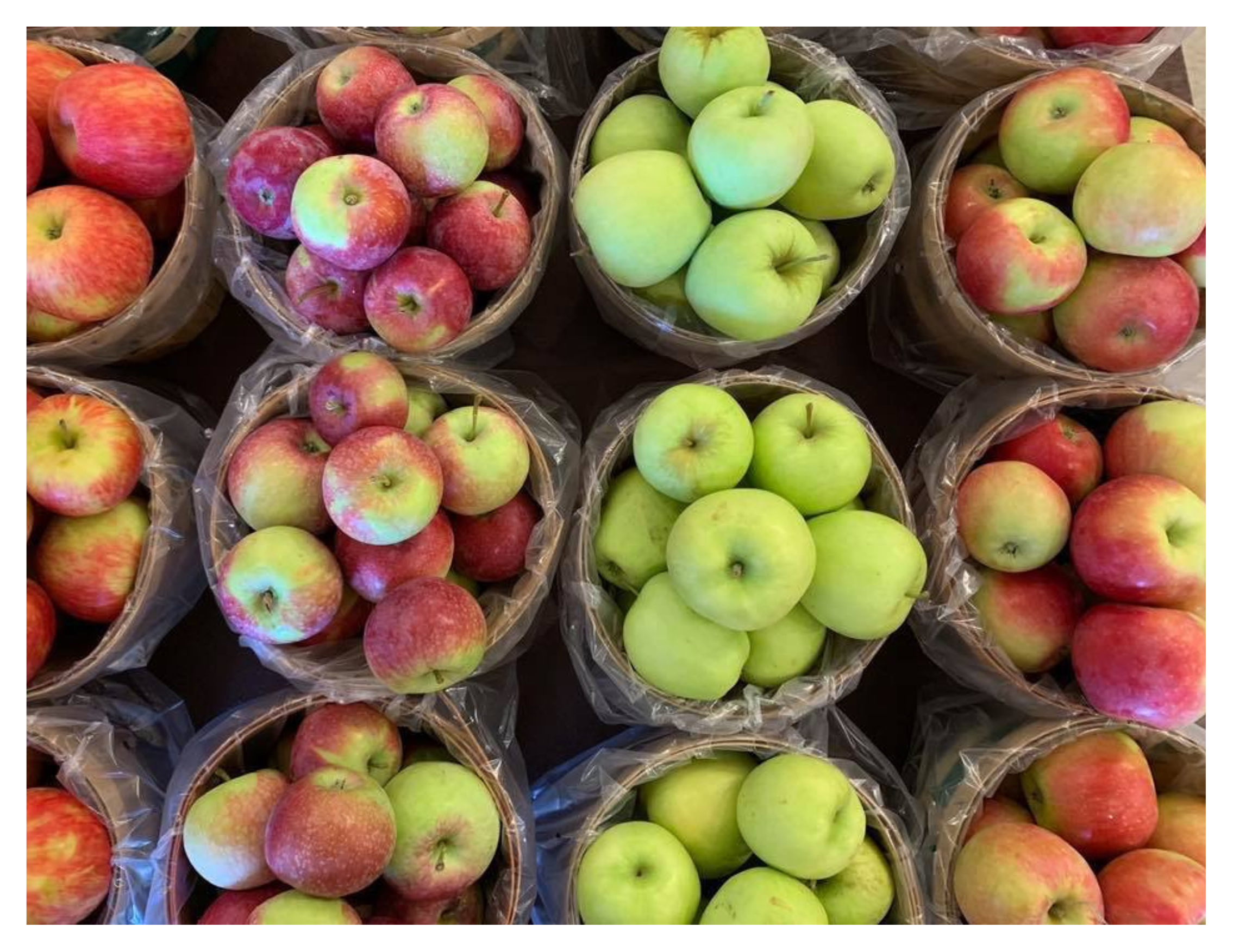 Wayne County Apple Tasting Tour Photo