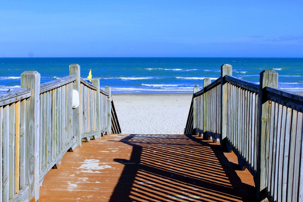 Guide to Camping in South Texas: Summer vs. Winter