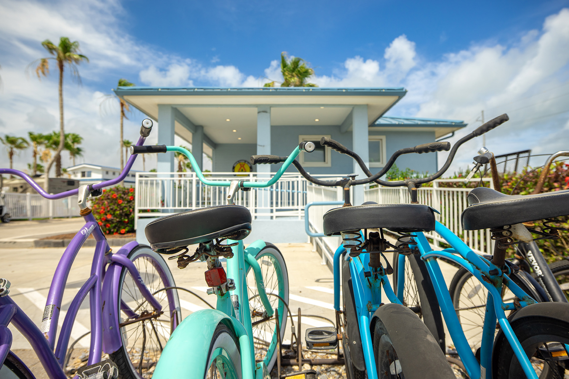 Bike Rentals