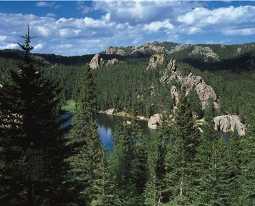 Discovery Tours