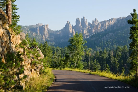 Custer State Park