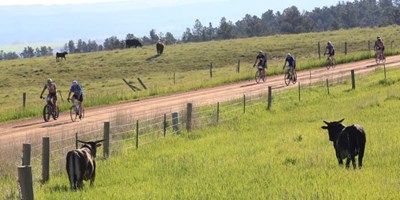Pine Island Gravel Odyssey