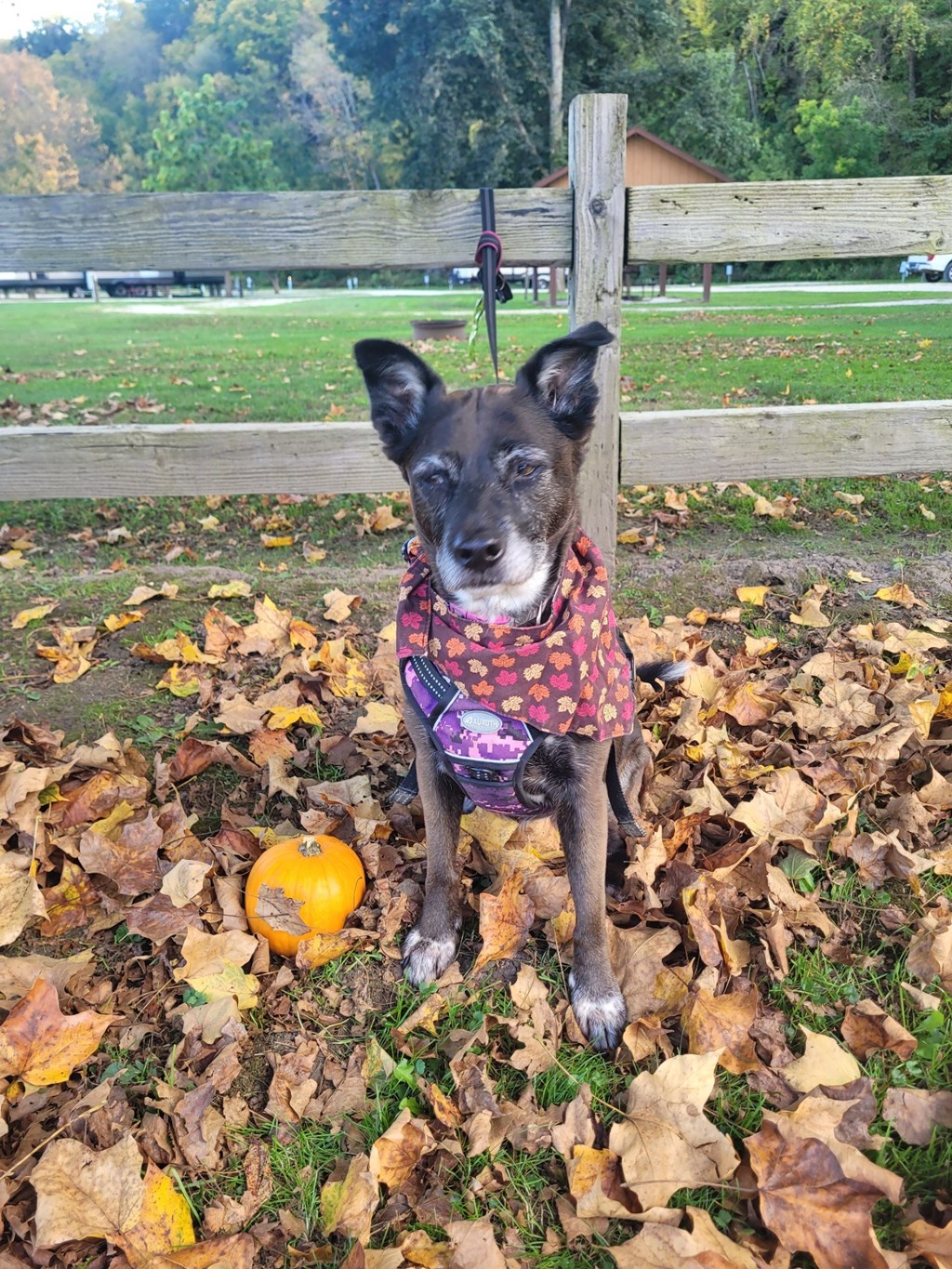 October Newsletter!