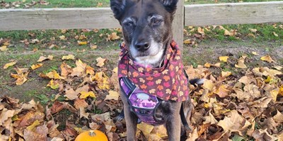 October Newsletter!