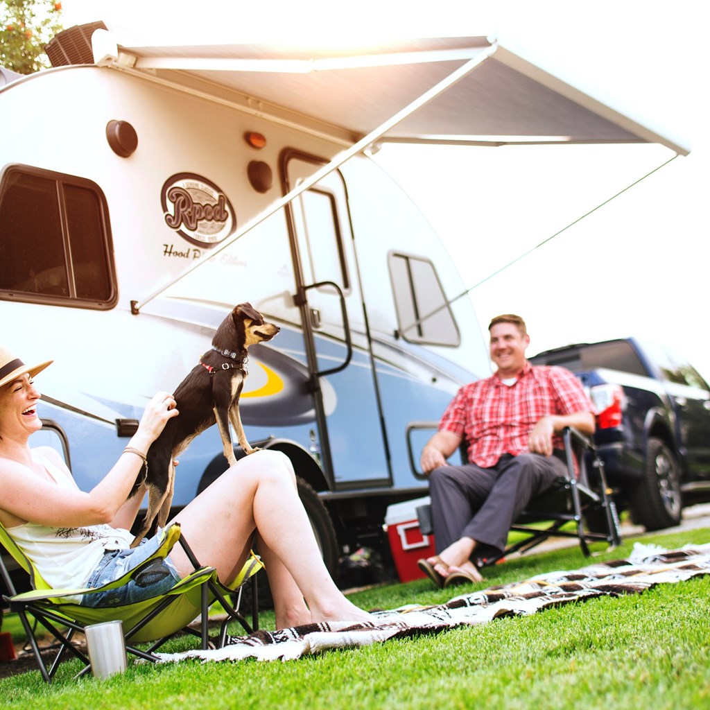 Best Snacks for Camping