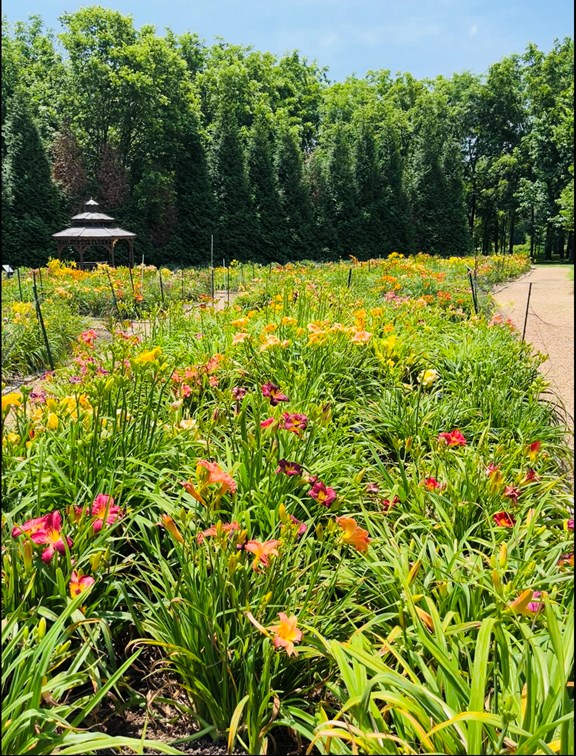 Nathanael Greene/Close Memorial Park