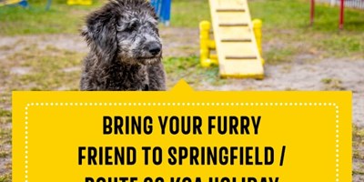 Dog-Friendly Things to Do in Springfield, Missouri | KOA