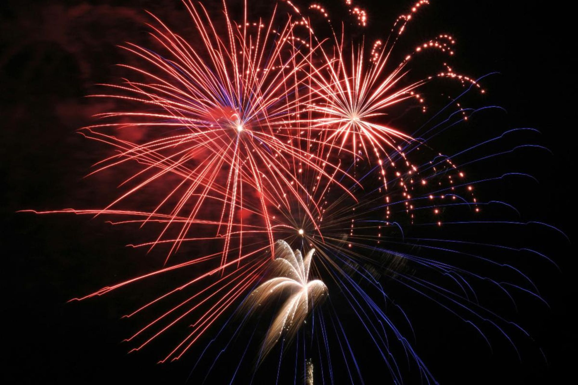4th of July Fireworks Photo
