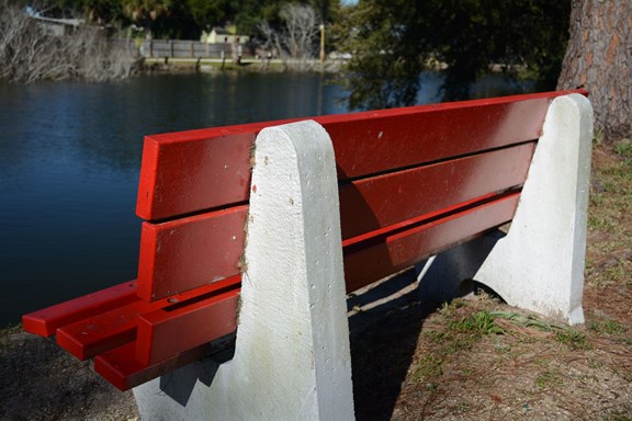 Benches by Waterfront