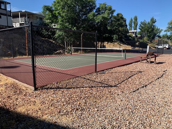 Pickleball