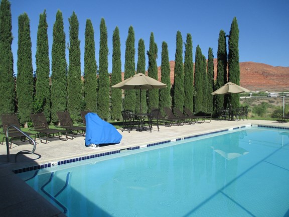 Cool Off & Play in the Swimming Pool!