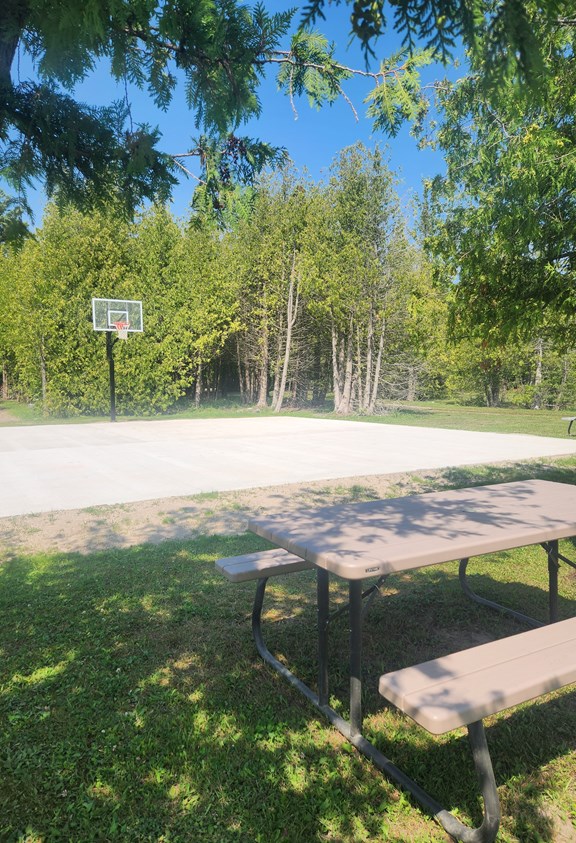 Half Court (Basketball)