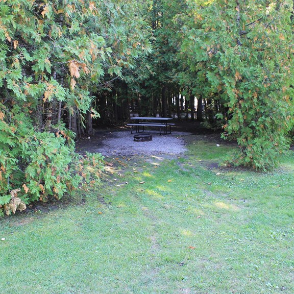 Rustic tenting area