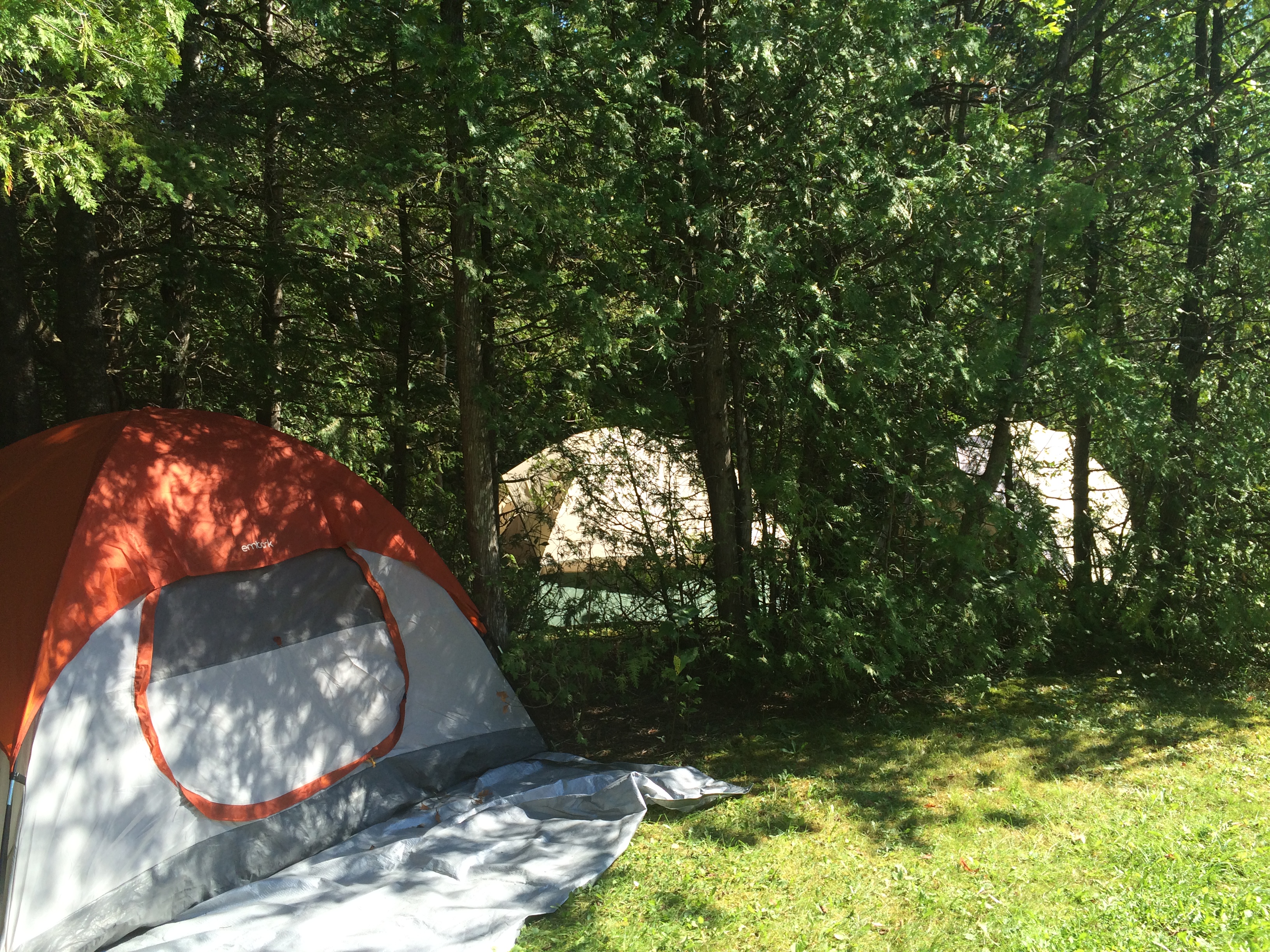 Beautiful wooded primitive tent sites