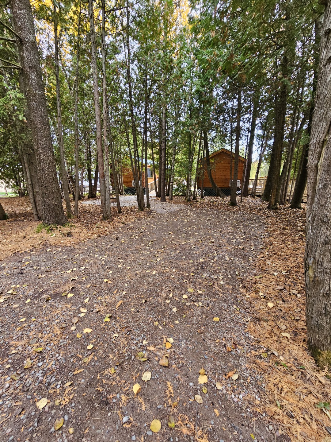 Deluxe Cabin 6 additional parking
