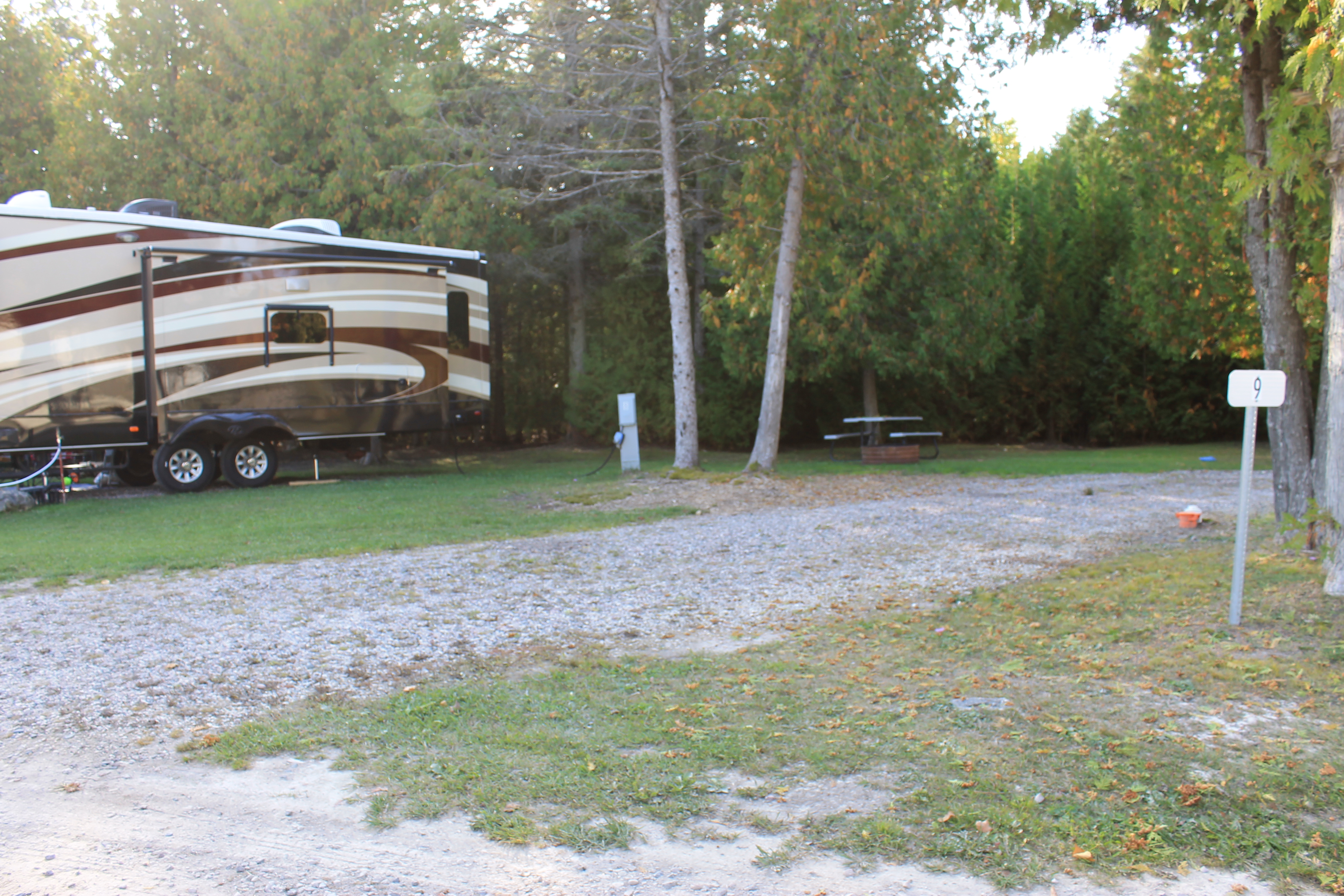 Site 9