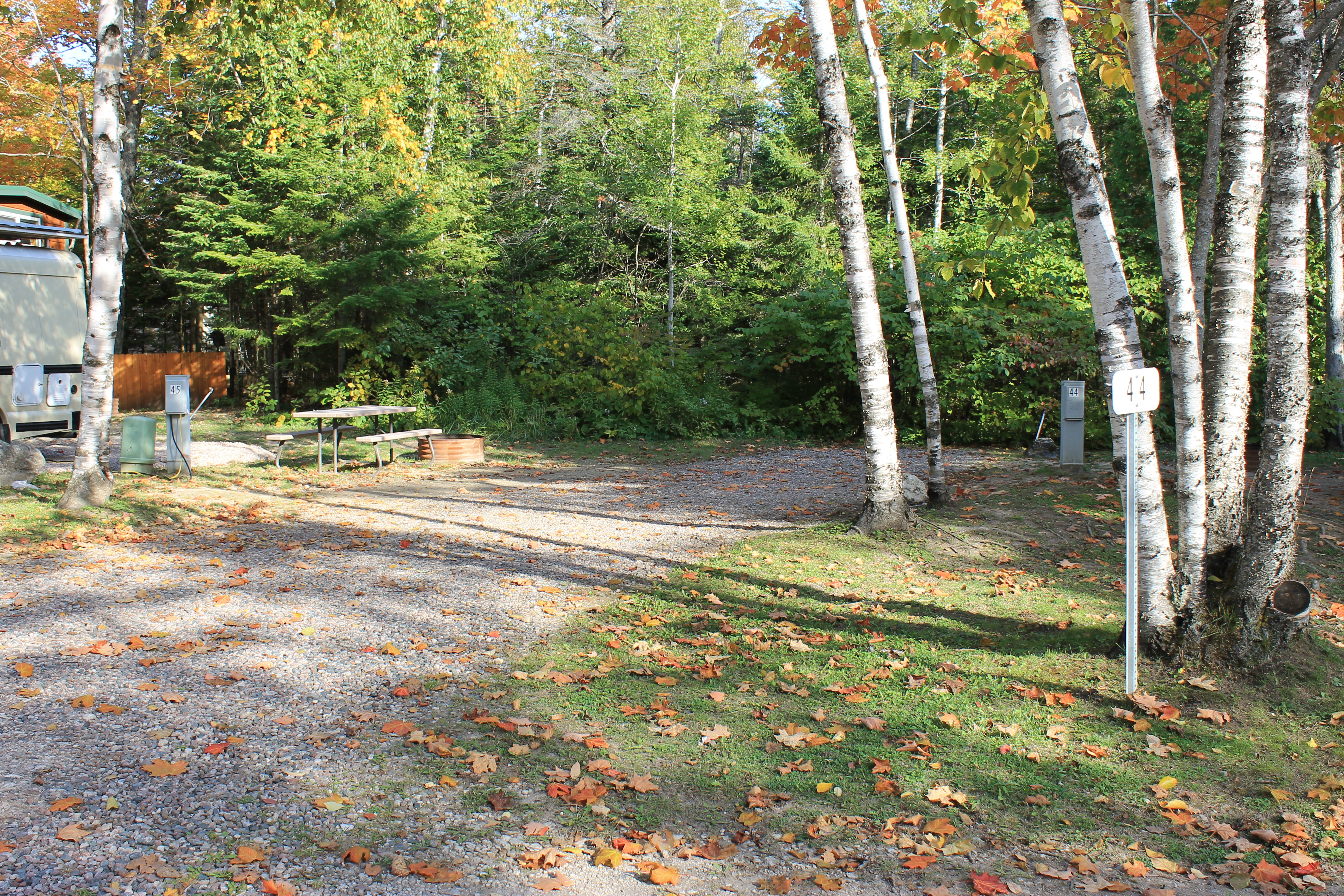 Site 44