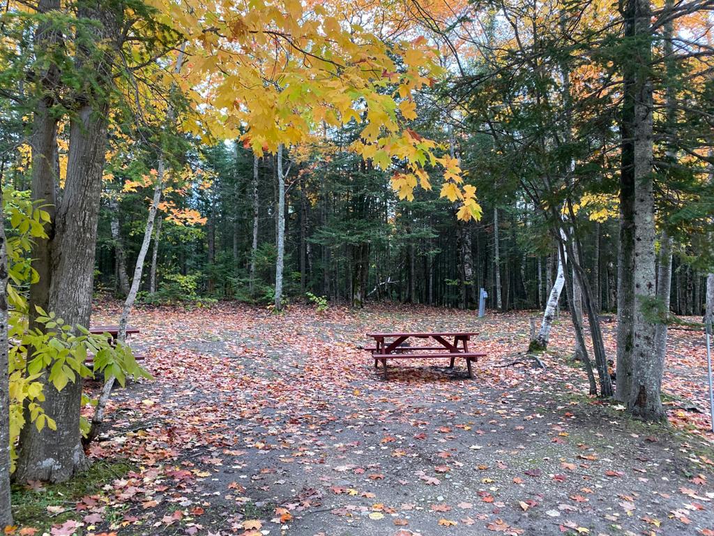 Tent WE sites