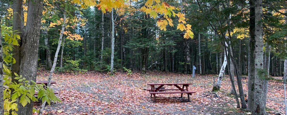 Tent WE sites