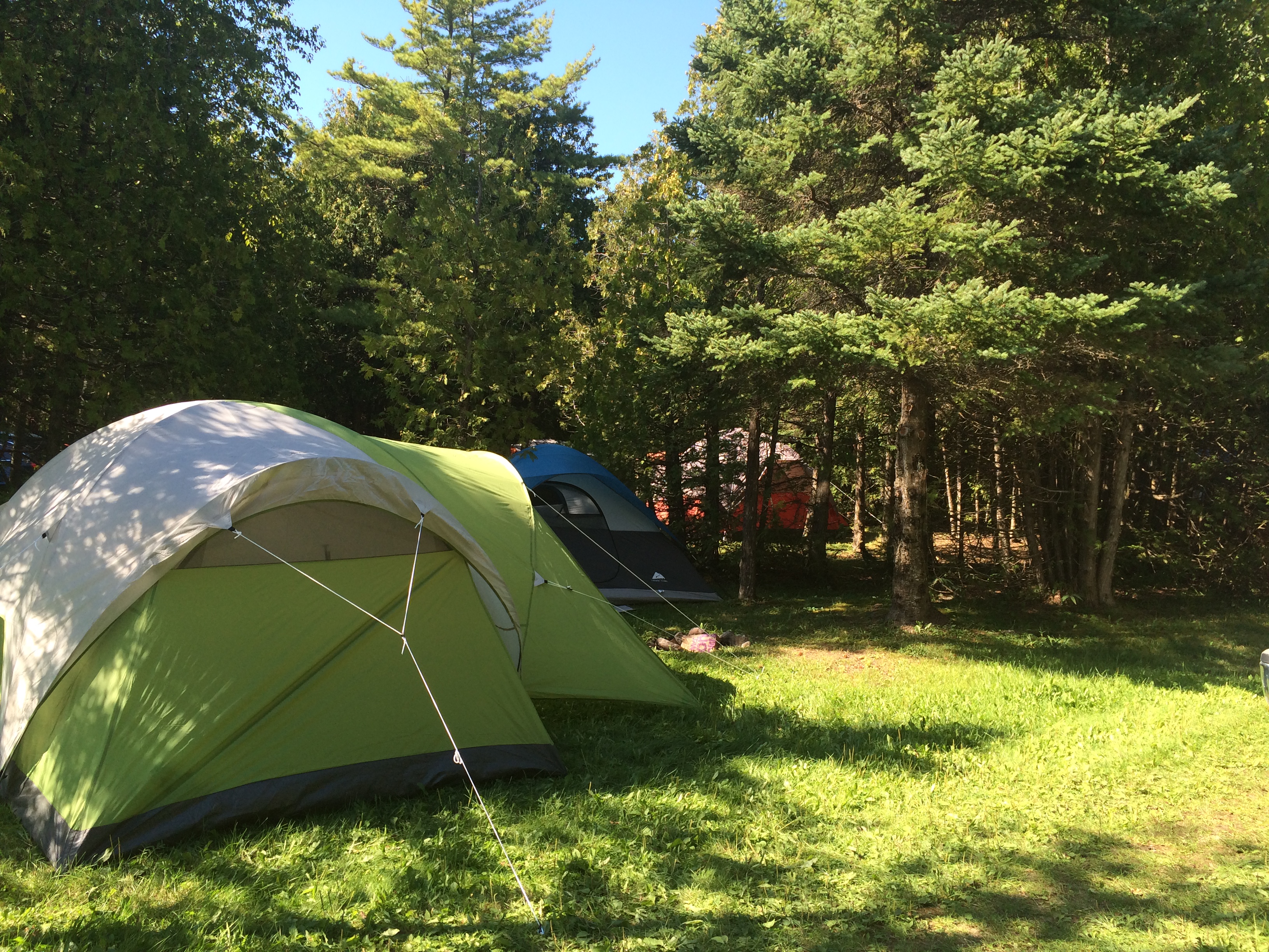 Beautiful wooded primitive tent sites