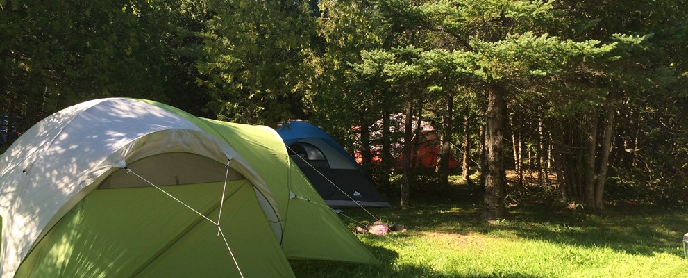 Beautiful wooded primitive tent sites