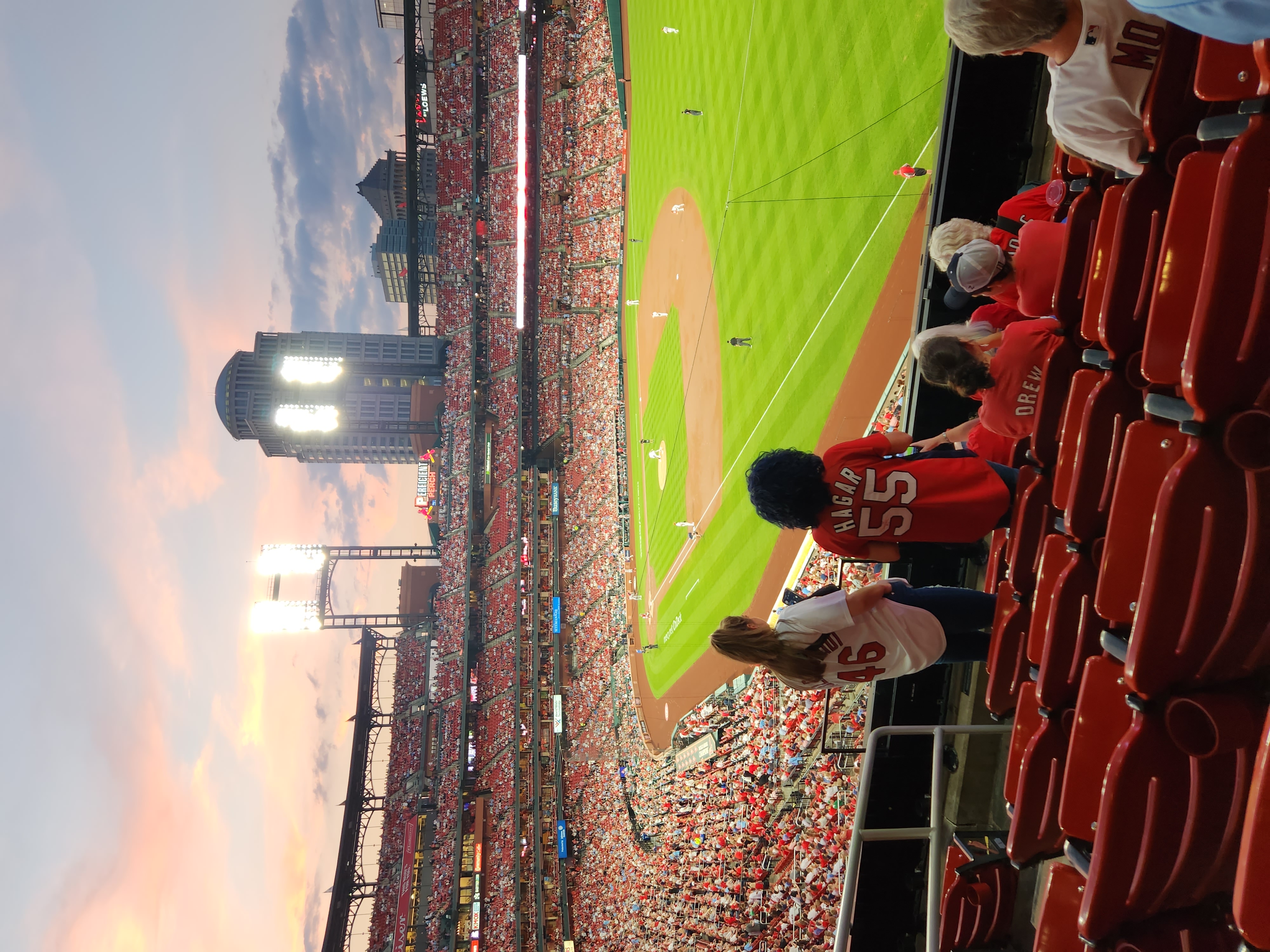 Cardinal Baseball Photo