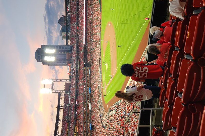 Cardinal Baseball Photo
