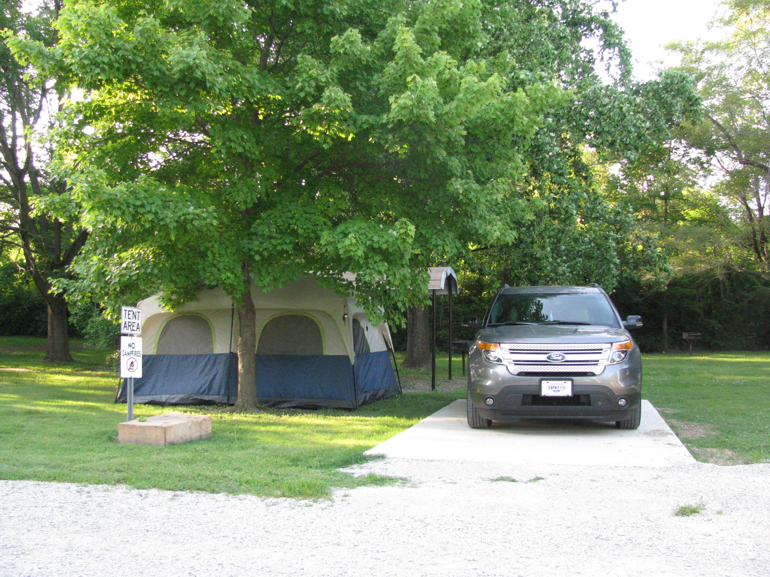 Cutest little tent site