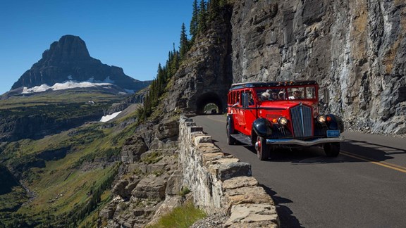 Red Bus Tours