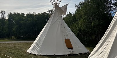 North American Indian Days (NAID)