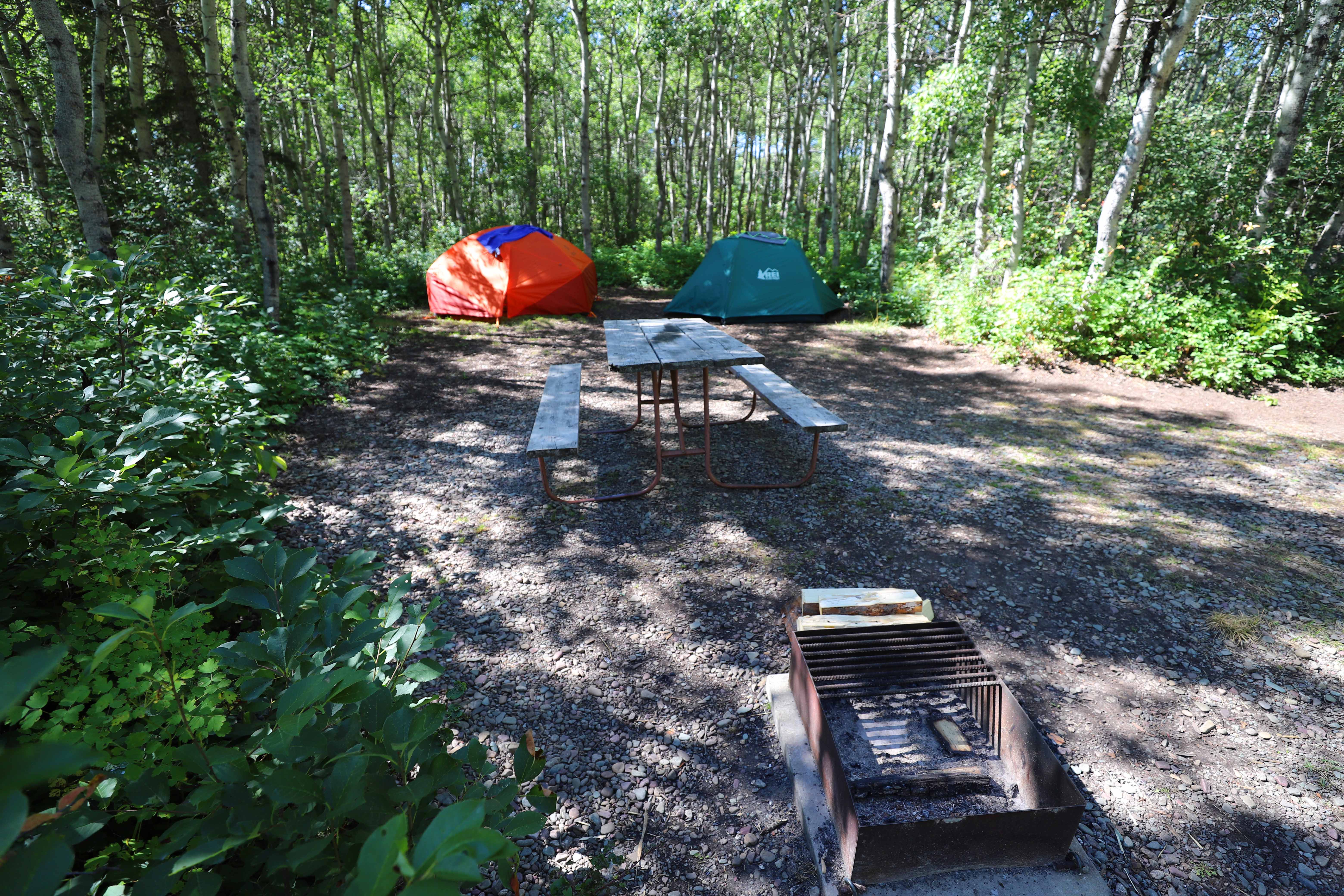 standard tent site