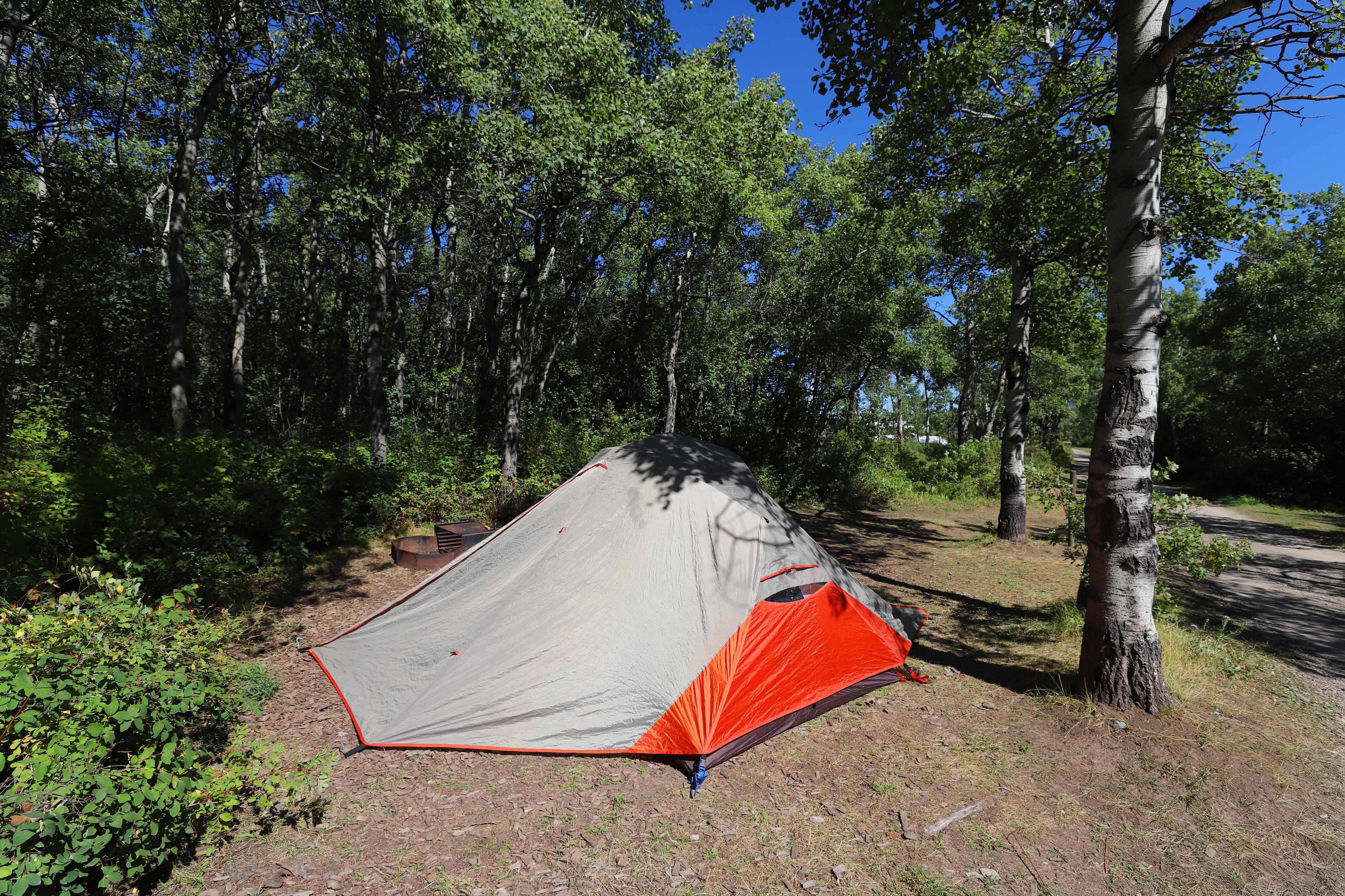 standard tent site
