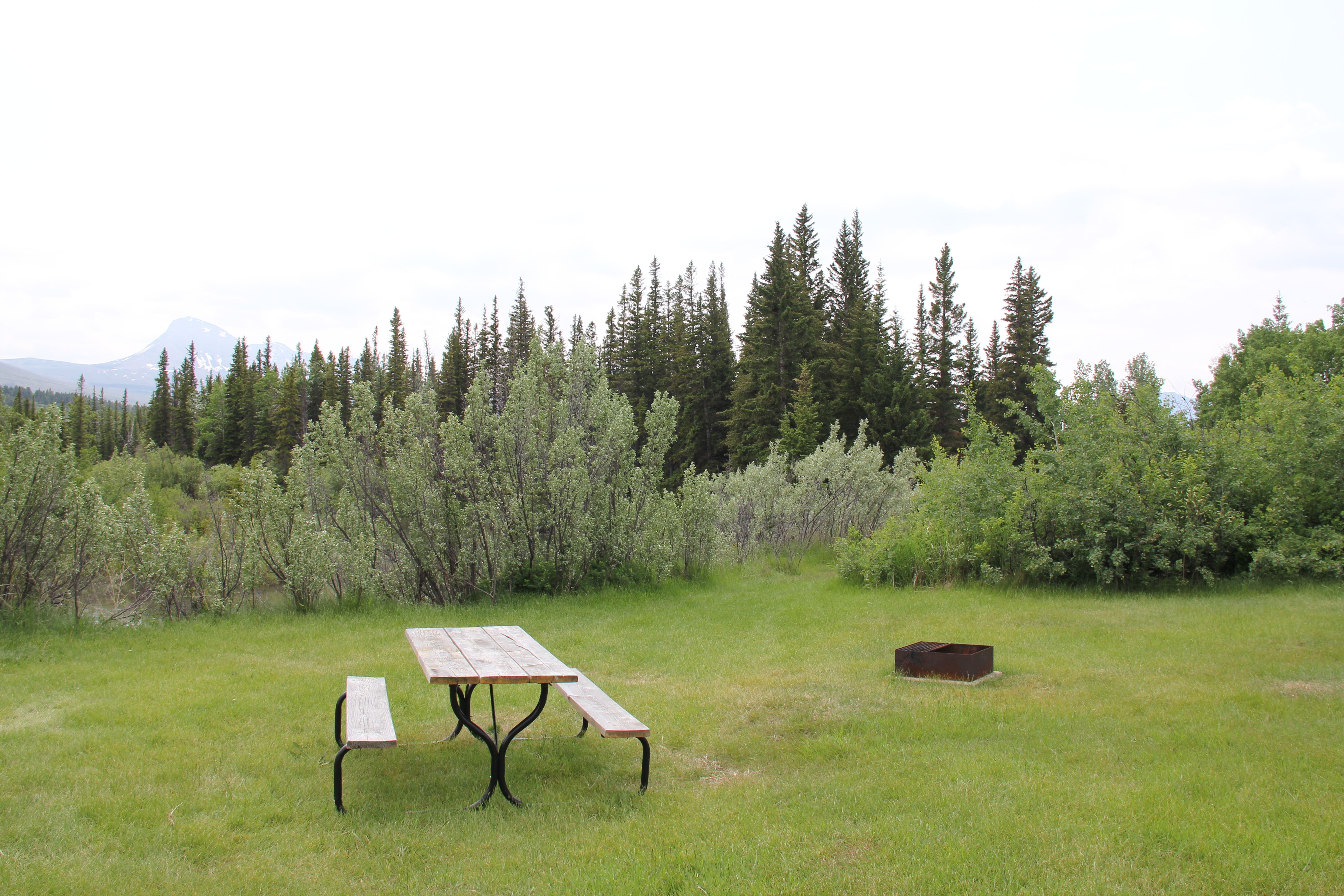 Grassy tent site along the river