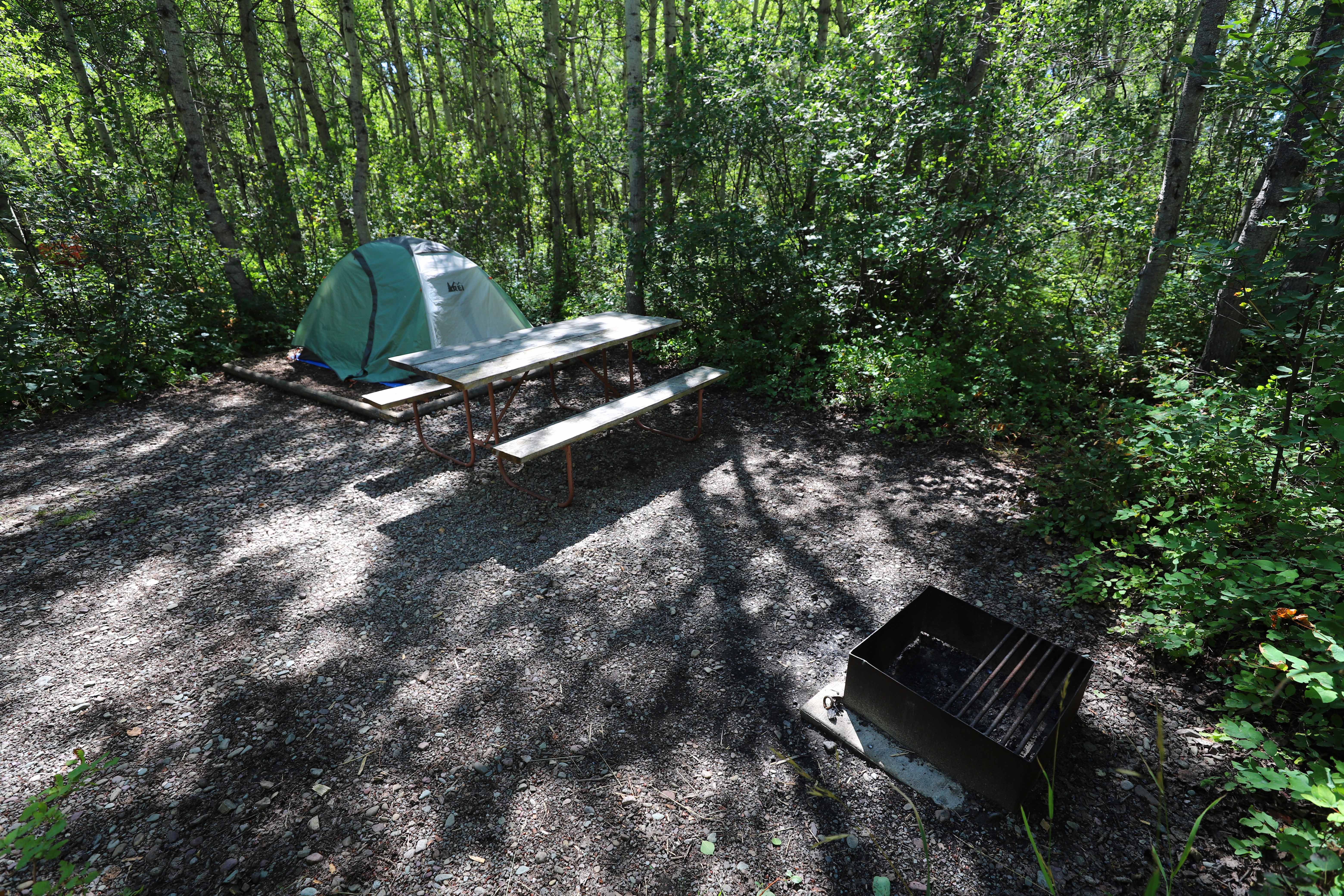 standard tent site