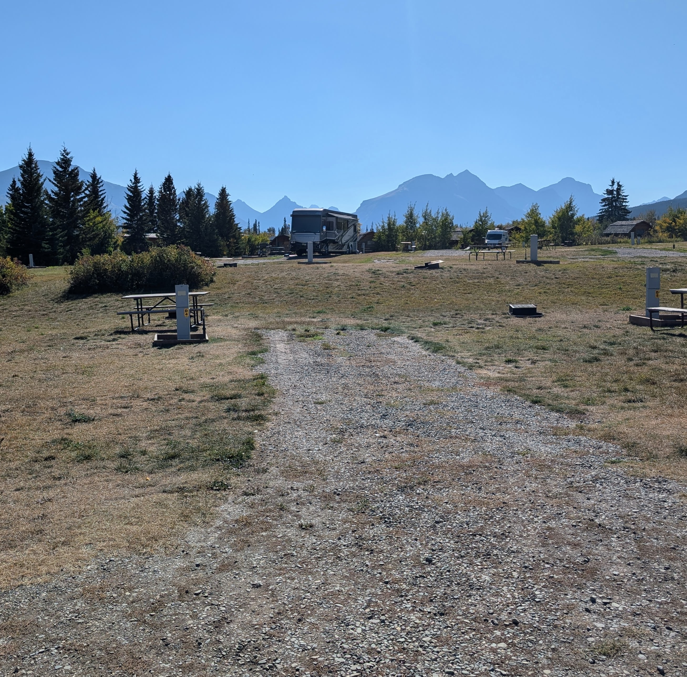 D site