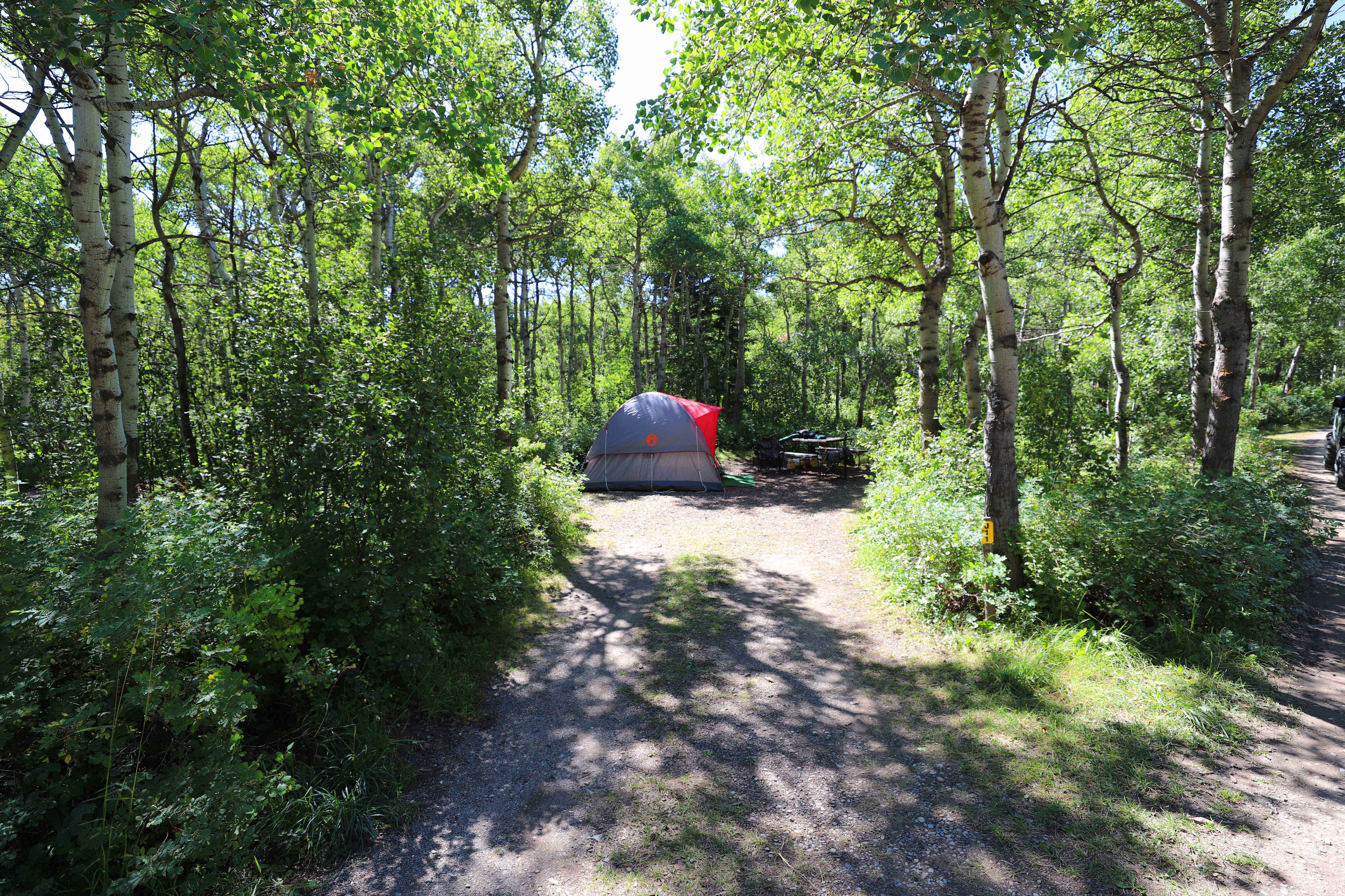 standard tent site
