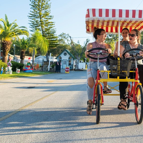 Bike Rentals