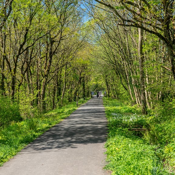 Pinellas County Trail