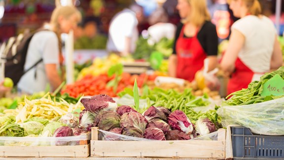 St. Petersburg Saturday Morning Market