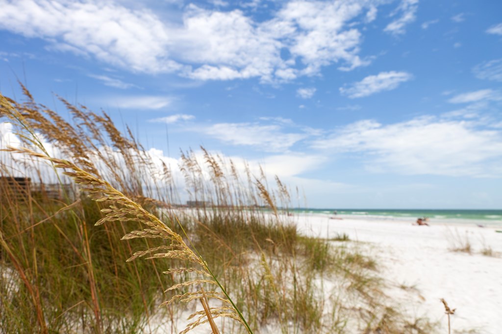 4 Florida Destinations to Escape the Winter Blues