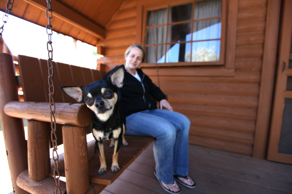 Pet Friendly Cabins Available