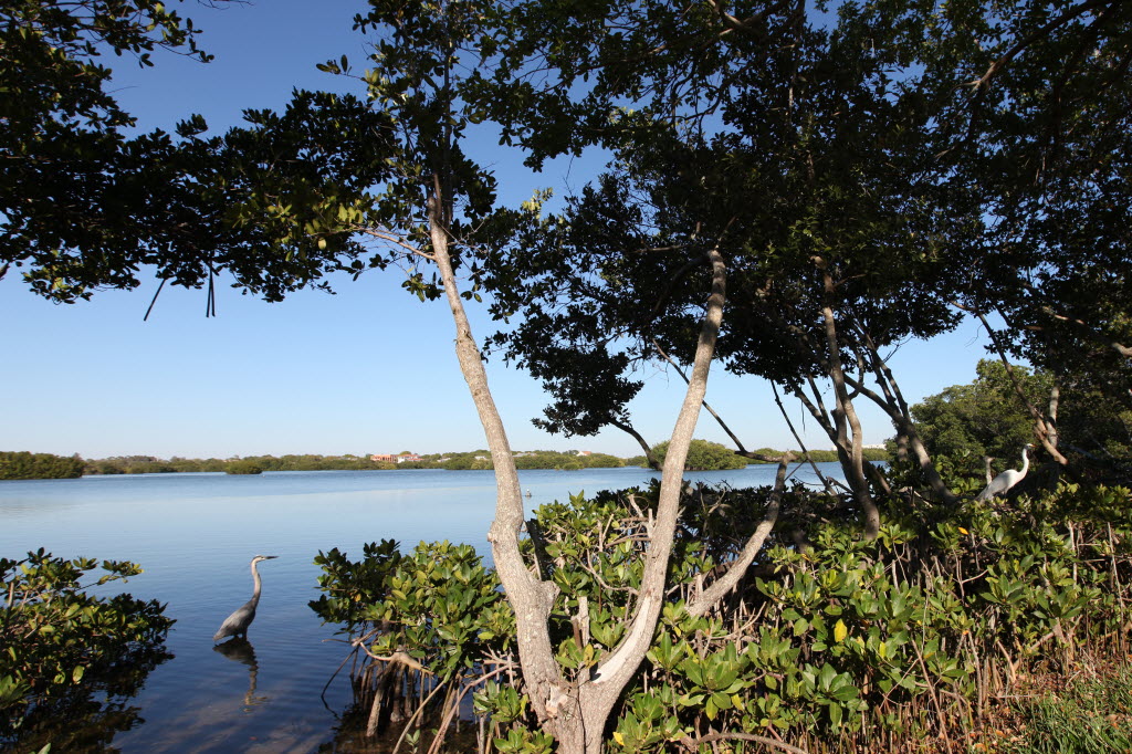 Gorgeous views right from your campsite