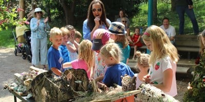 Fairy Garden House Contest