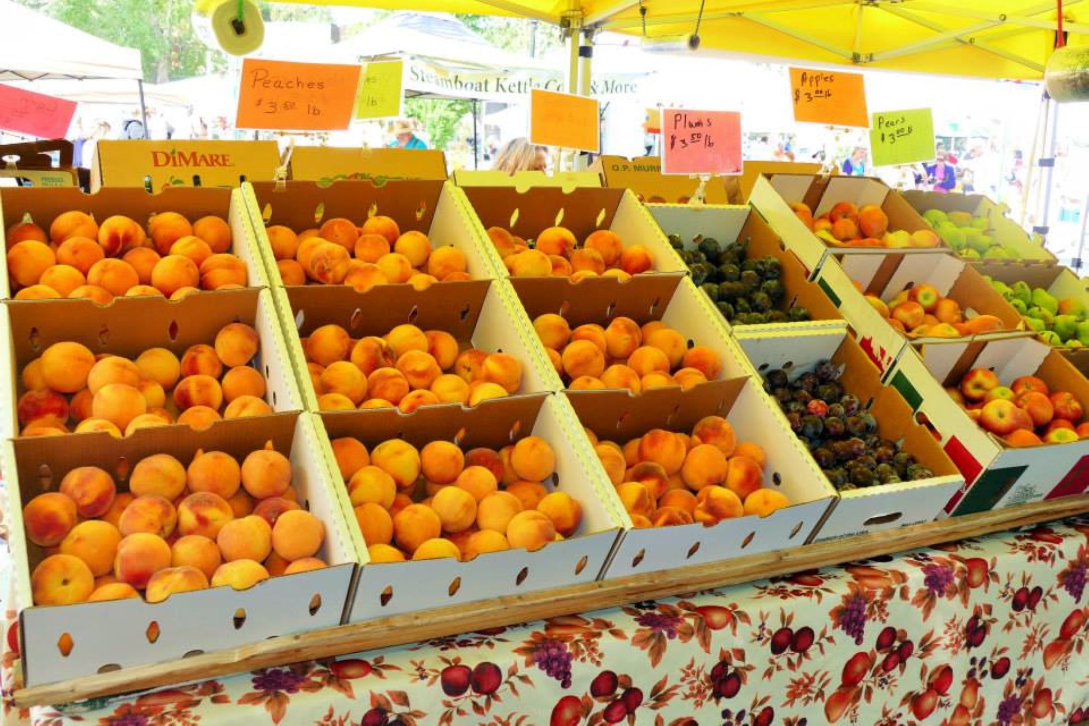 Main Street Steamboat Farmers Market Photo