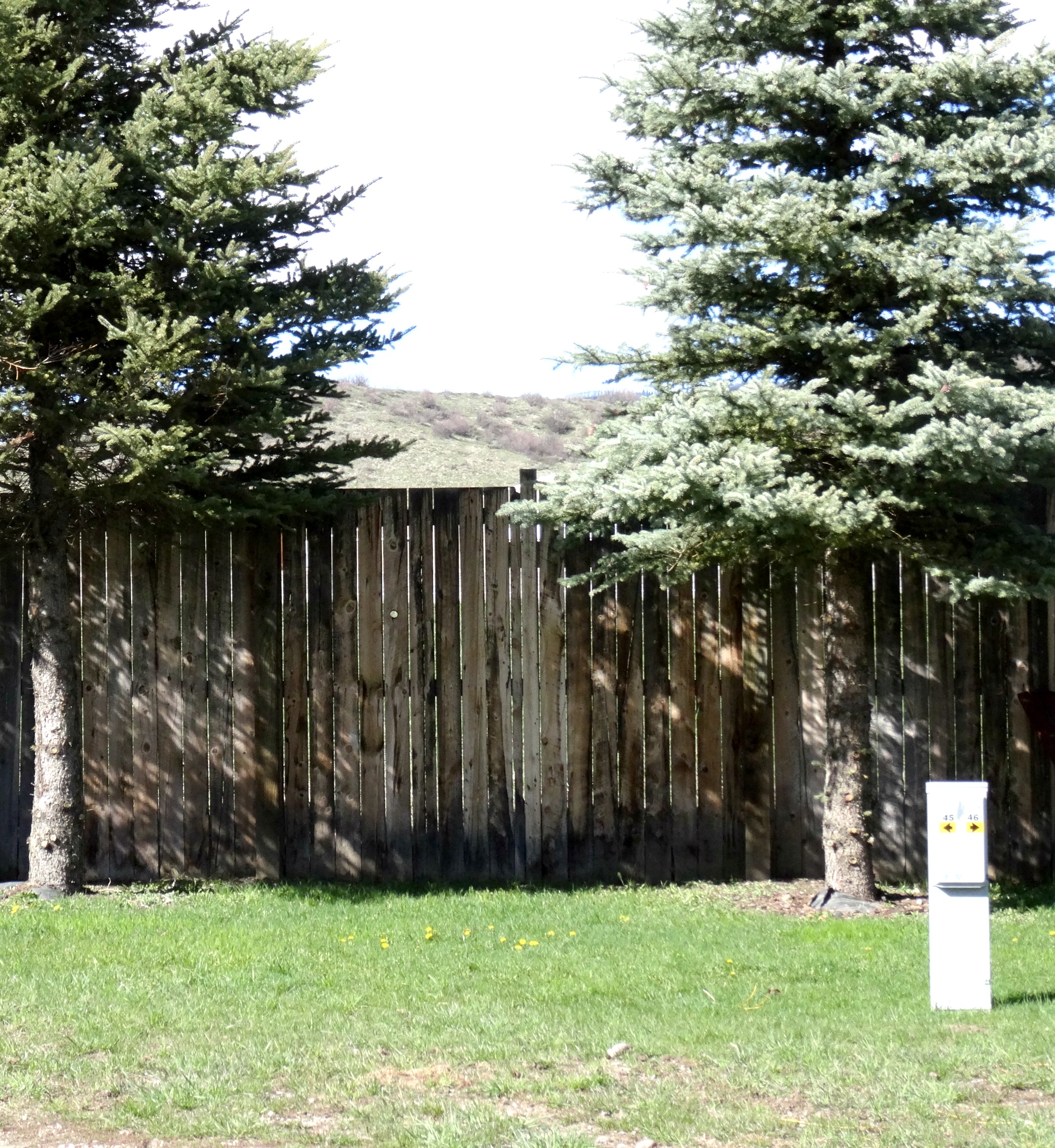 site