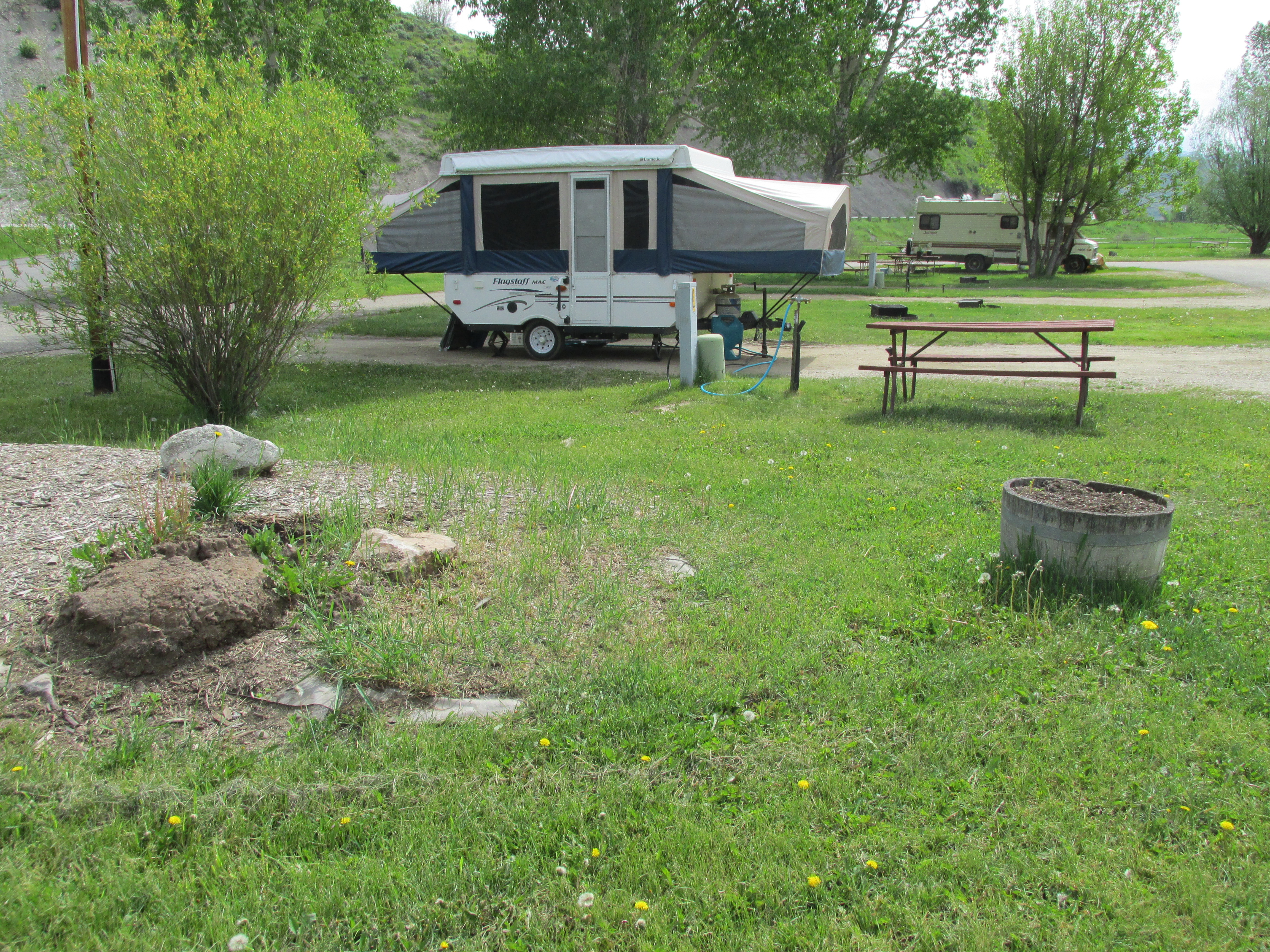 site